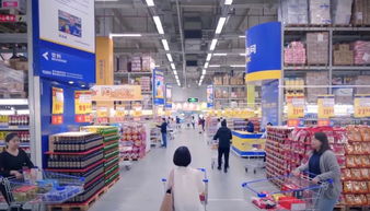 食字路口，守住安全——飲食服務中心開展食品安全培訓